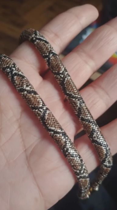 Colar Cobra Ônix na palma da mão